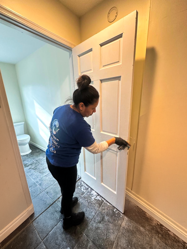 limpieza deep clean 1